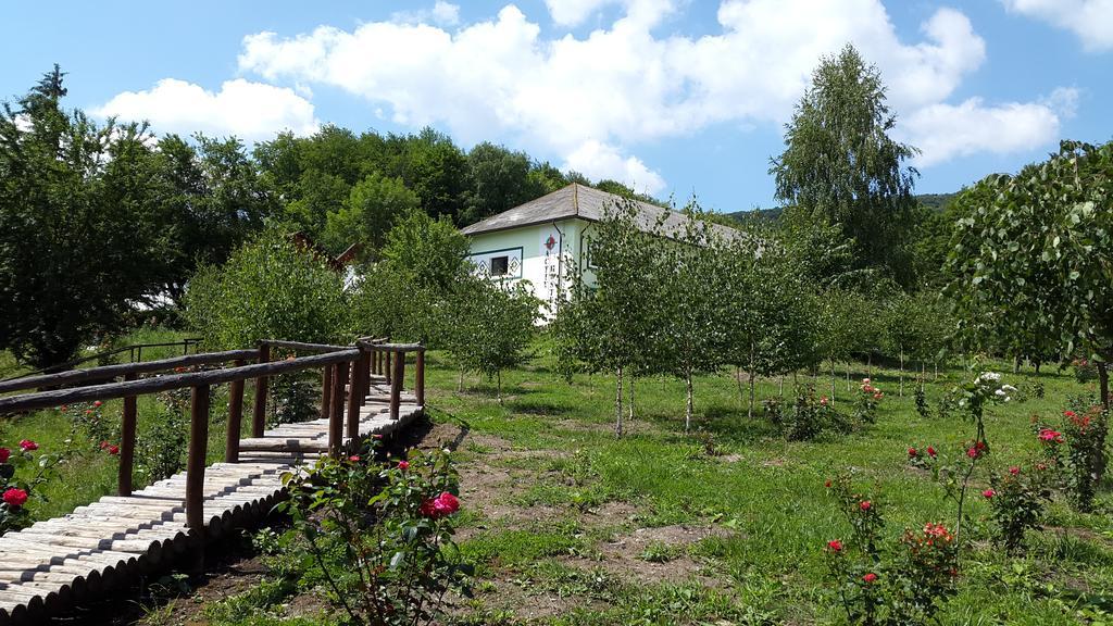 Activ Parc Hotel Negresti Kültér fotó