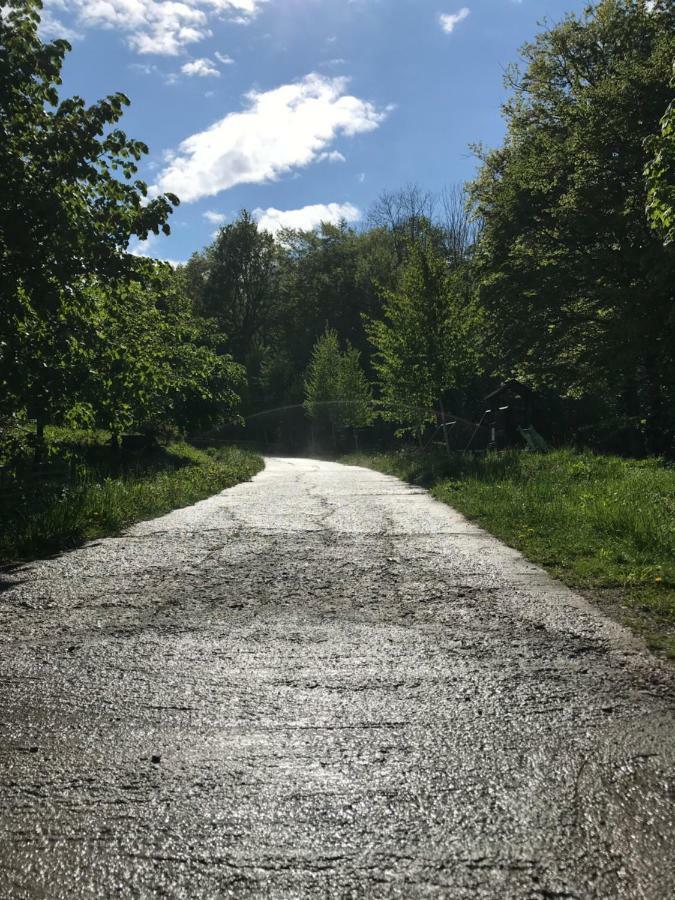 Activ Parc Hotel Negresti Kültér fotó